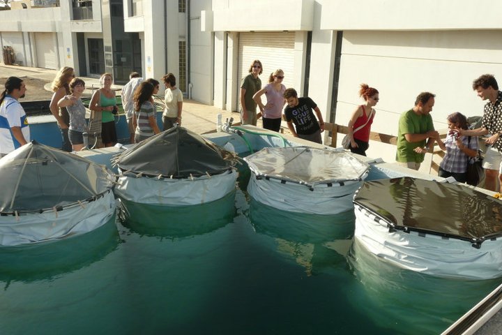 Mesocosm experiment, HCMR Greece