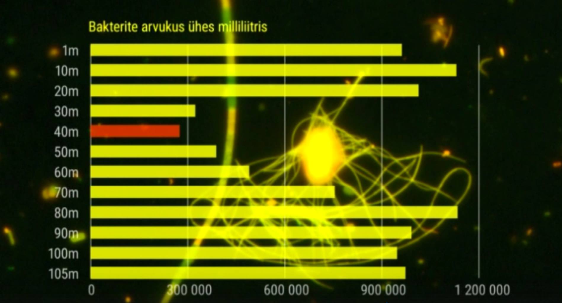 Bacterioplankton data, Baltic Sea 2016