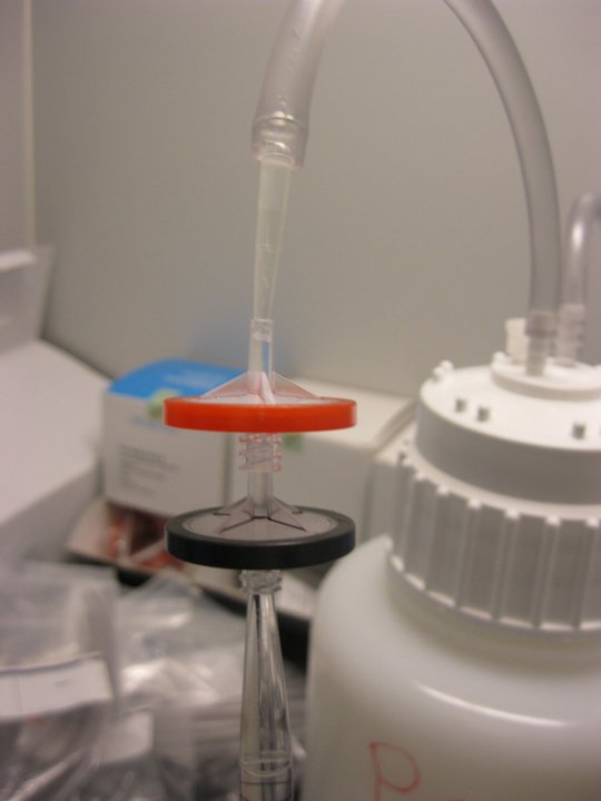 Water sample filtration 2011