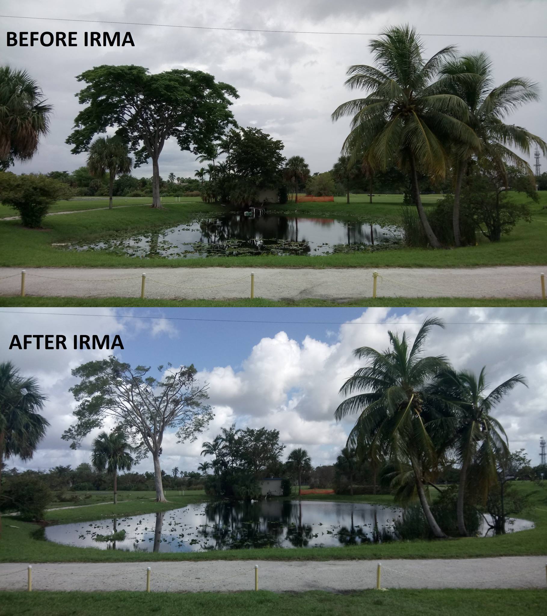 Hurricane Irma fieldwork, Everglades