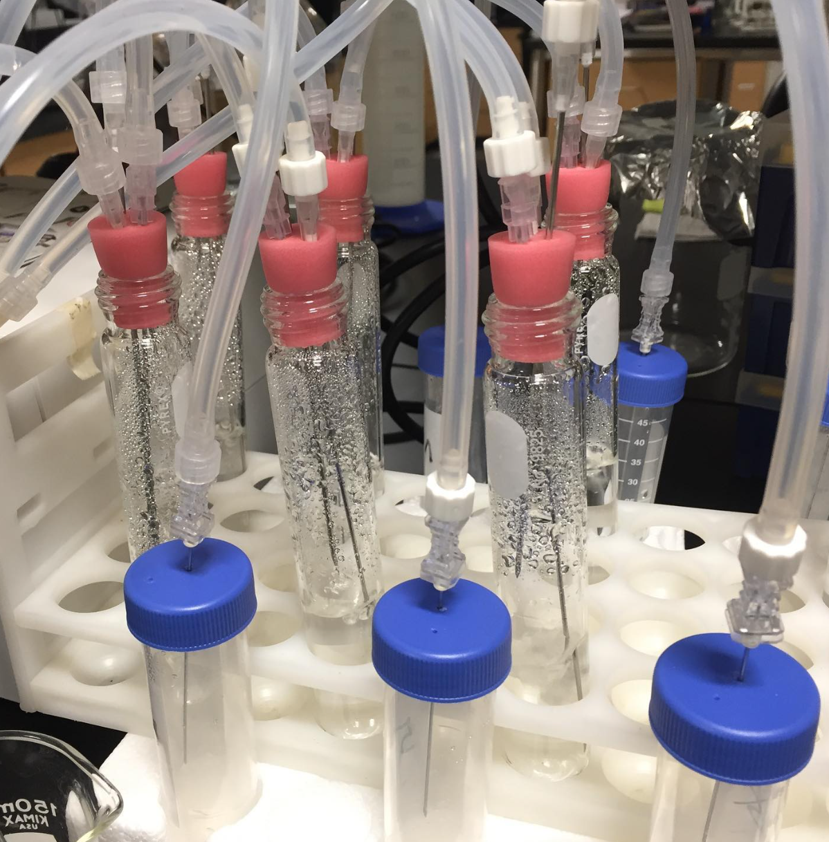 University of Florida, 2019