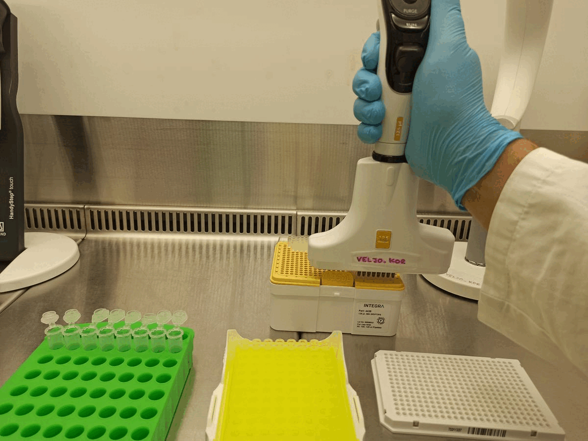 Lab animation — multichannel pipette