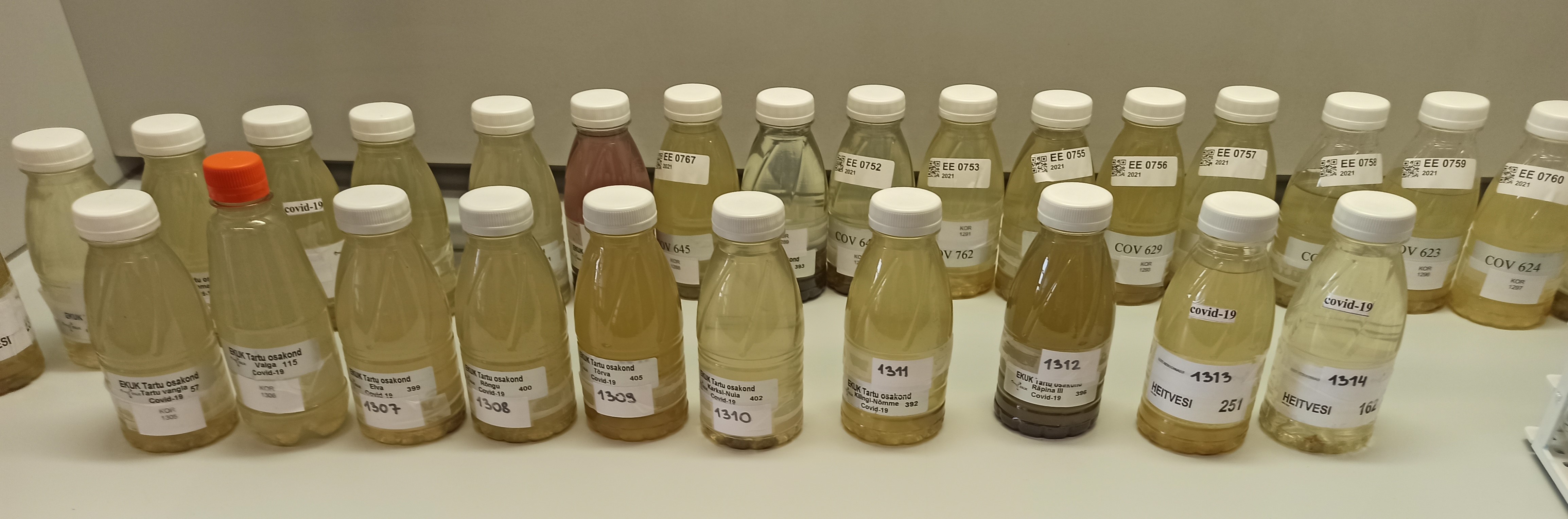 Sampling, spring 2021